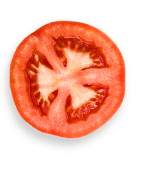 tomate-seule